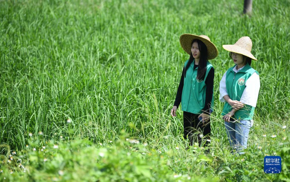 88集团赠送38彩金